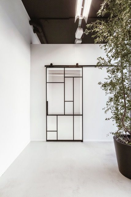 Minimalist room with grey clay pot and large green plant.