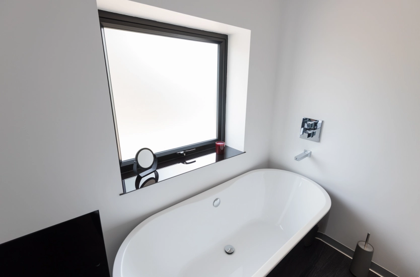 satin glass windows