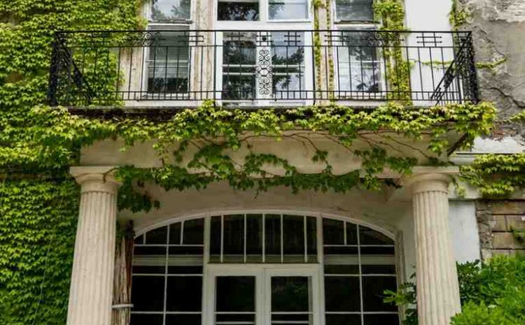 Arched Windows and Heritage Windows