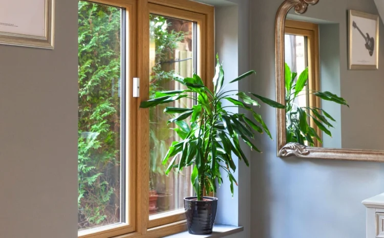 timber windows